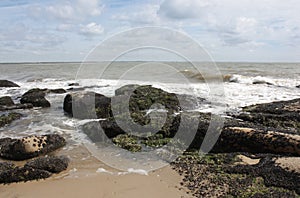 Beach Rocks with seashells and seaweed