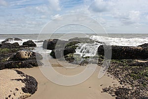 Beach Rocks with seashells and seaweed