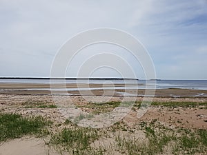 Beach, rocks, shore, forest, woods, sea