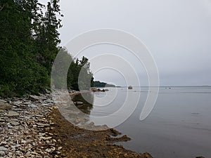 Beach, rocks, shore, forest, woods, sea