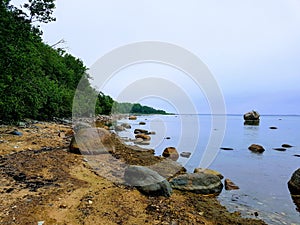 Beach, rocks, shore, forest, woods, sea