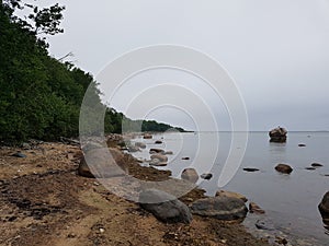 Beach, rocks, shore, forest, woods, sea