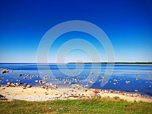 Beach, rocks, shore, forest, woods, sea