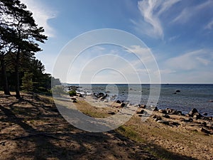 Beach, rocks, shore, forest, woods, sea