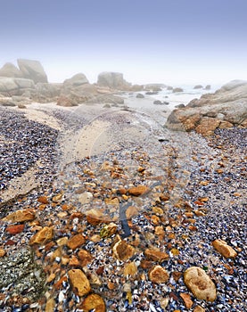 Beach, rocks and stone on sand in nature, landscape or environment with fog on sea or horizon. Offshore, ocean and