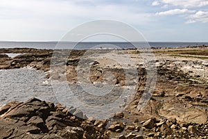 Beach with rocks and vegetation in Galway Bay