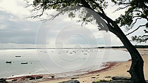 Beach of the Sableaux in Noirmoutier island