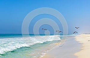 Beach of Salalah, Dhofar (Oman)