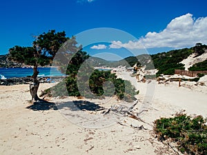 Beach of salinas, Ibiza, Spain photo