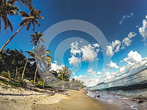 Beach in Samoa photo