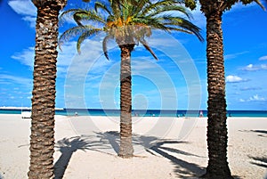 Beach of San Vito Lo Capo, Sicily photo