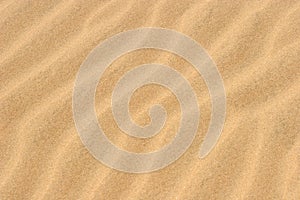 Beach Sand photo