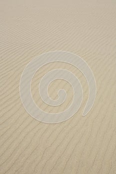 Beach Sand Background