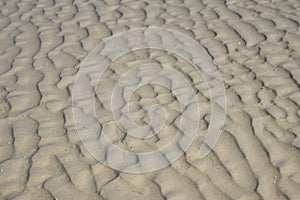 Beach sand background. Close up texture with sea sand