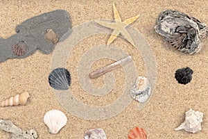 Beach sand background with shells and a starfish. photo