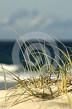 Beach Sand Dune photo