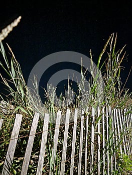 Beach sand dune fence at night