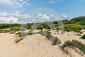 Beach, sand dune at a seaside on a sunny summer day with blue sky