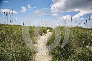 Beach Sand Dune Walkway