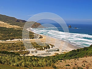 Beach and sand dunes