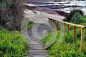 Beach Sand Dunes Access Path.