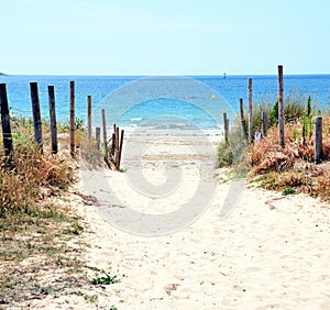 Beach Sand Dunes Access Path. Beach path.