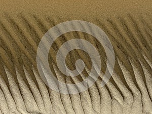Beach Sand dunes background desert ripples made in sand by wind