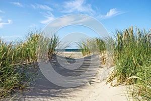 Beach with sand dunes and marram grass.