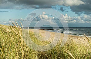 Beach with sand dunes and marram grass, blue sky and clouds in soft evening sunset light. Hvidbjerg Strand, Blavand