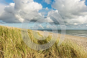 Beach with sand dunes and marram grass, blue sky and clouds in soft evening sunset light. Hvidbjerg Strand, Blavand