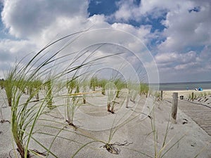 Beach with sand dunes, ocean in background