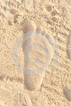 Beach sand footprint ocean coast sea. Close-up