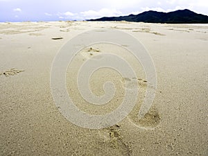 Beach sand footprints with copy space.