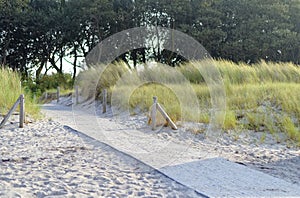 Beach with sand on the German Baltic Sea coast with dunes