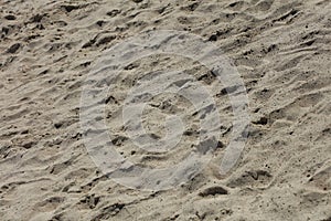 Beach sand ground macro background covid-19 june season creta island greece modern high quality print