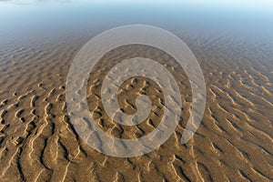 Beach sand at low tide