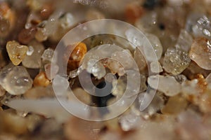 Beach sand micro