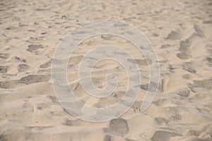 Beach sand with narrow depht of field