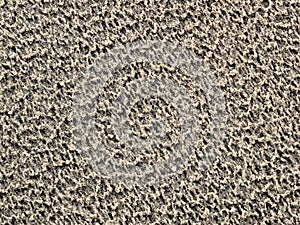 Beach sand pattern on fine and moist sand