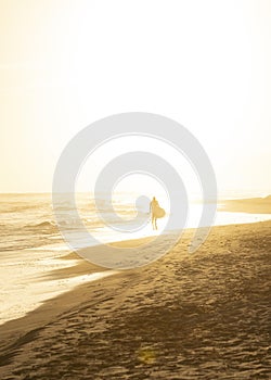 beach sand peaceful ocean (4). High quality photo