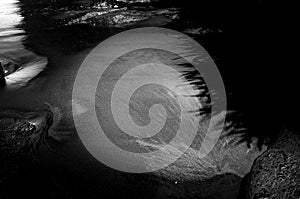 BEACH, SAND, ROCK, WATER, TREE, SILOUETE, BLACK AND WHITE, BNW