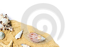 Beach sand with sea shells and star on white background.Copy space for text.Vacation memories