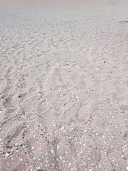 Beach sand in the spring