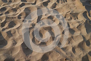 the texture of sand on the beach