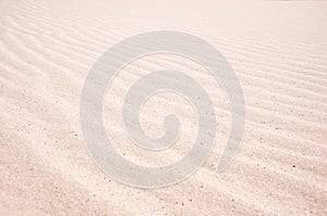 Beach sand texture background.Macro shot.