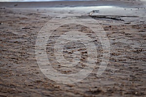 Beach sand texture with imprints