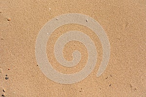 Beach sand texture top view