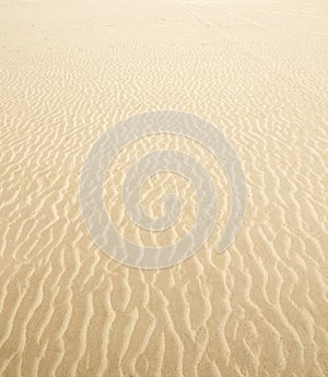 Beach sand waves warm texture background