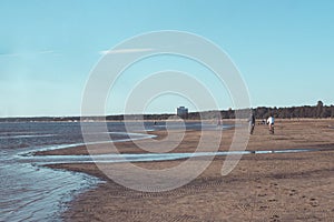 Beach, sandy coast of the Gulf of Finland in Saint Petersburg on a Sunny  day