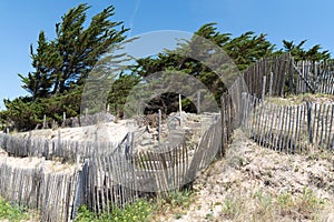 Beach sandy island of Noirmoutier isle in Pays de la Loire region in western France